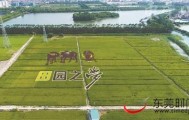 威廉希尔中文站- 菲尔特主场草皮质量问题，官方承诺限期整改  