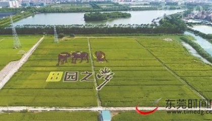 威廉希尔中文站- 菲尔特主场草皮质量问题，官方承诺限期整改  